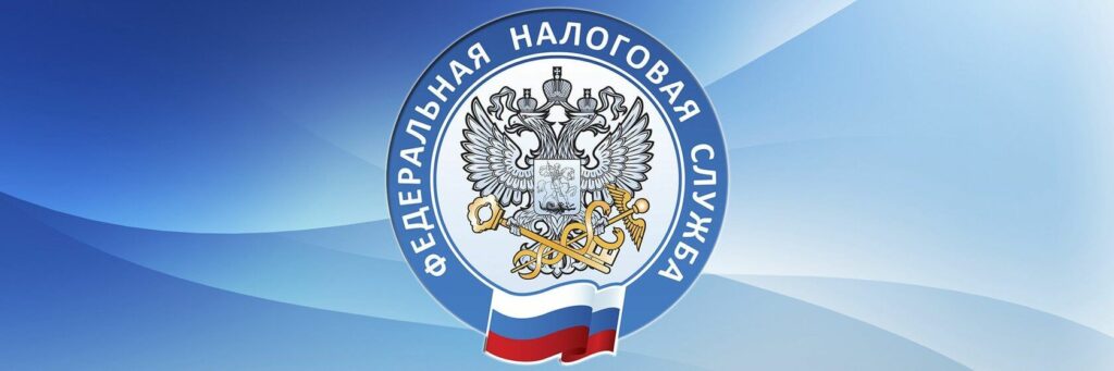 Федеральная налоговая служба (ФНС) Федеральная налоговая служба (ФНС)